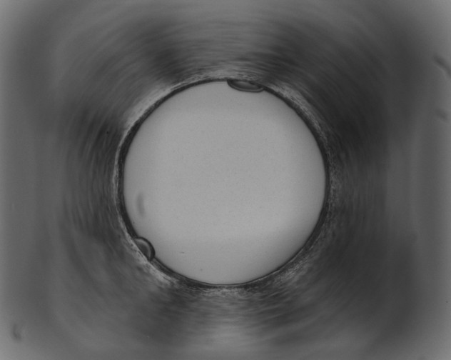 X0000100500902200807031938