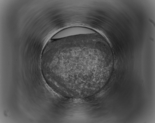 X0000100500903200807031938