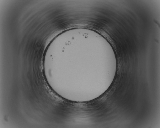 X0000100500904200807031938