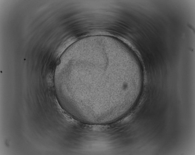 X0000100500905200807031938