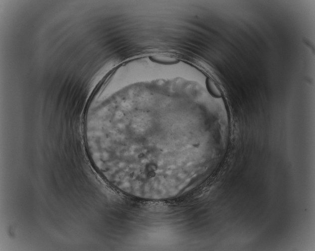 X0000100500907200807031938