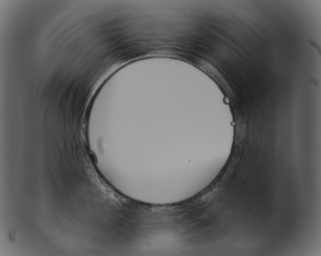 X0000100500908200807031938