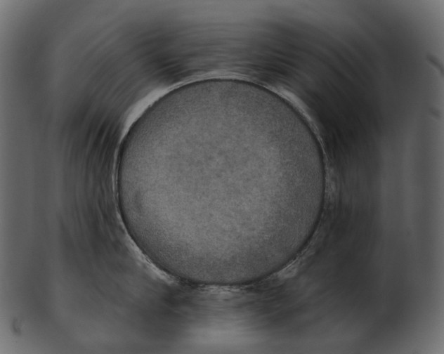 X0000100500910200807031937