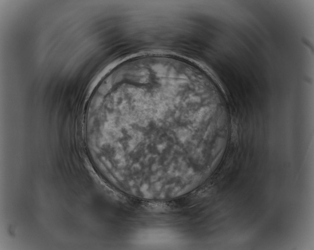 X0000100500911200807031937