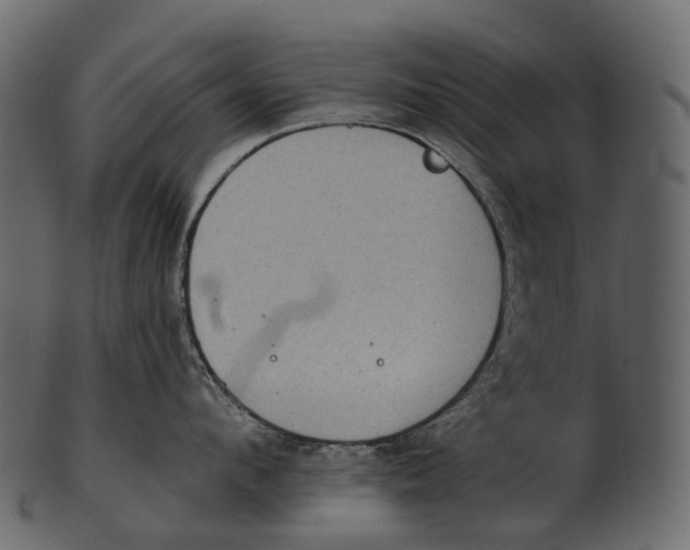 X0000100500912200807031937