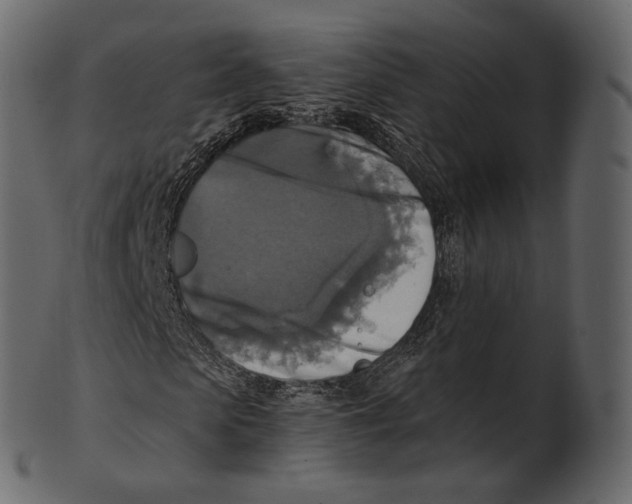 X0000100500913200807031937