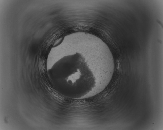 X0000100500915200807031937