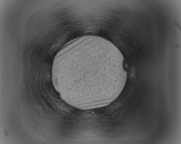 X0000100500916200807031937