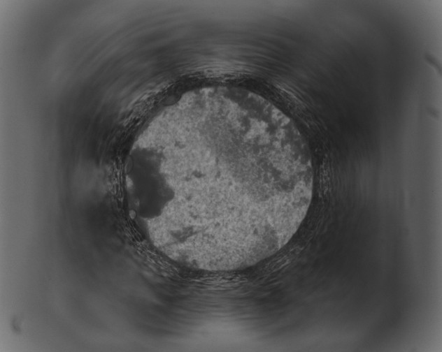 X0000100500917200807031937