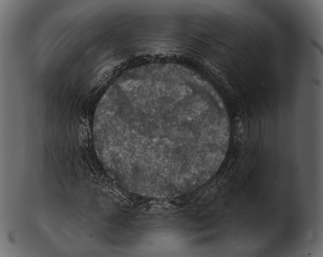 X0000100500918200807031937