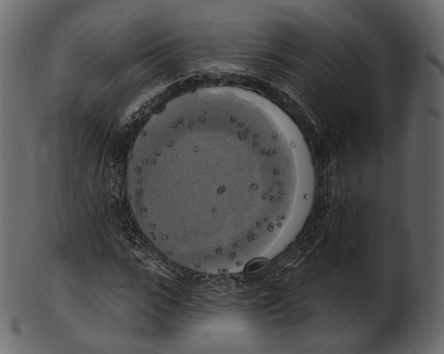 X0000100500919200807031937