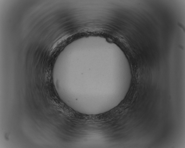 X0000100500920200807031937