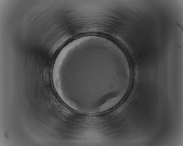 X0000100500921200807031937