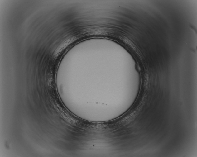 X0000100500922200807031937