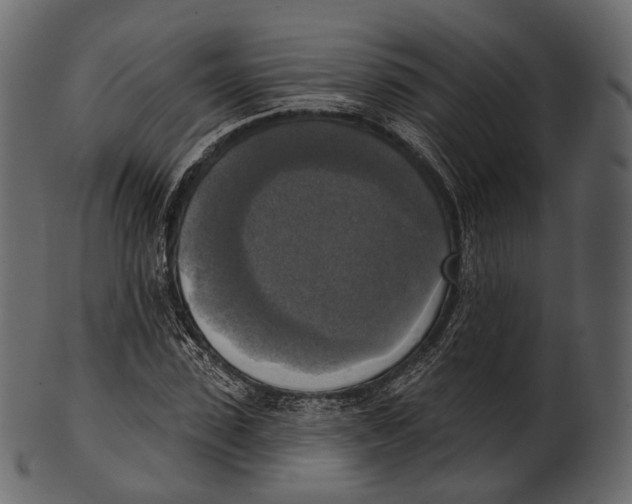 X0000100500923200807031937