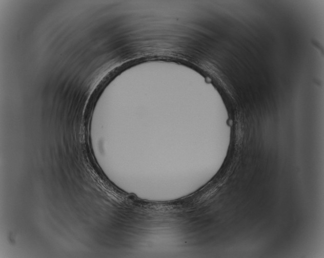 X0000100500924200807031937