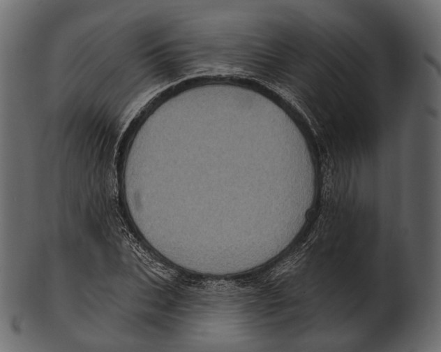 X0000100500927200807031937