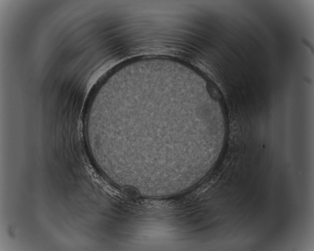 X0000100500928200807031937