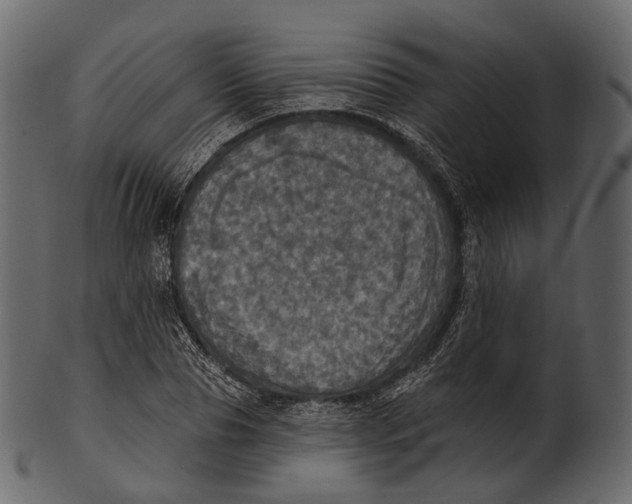 X0000100500929200807031937