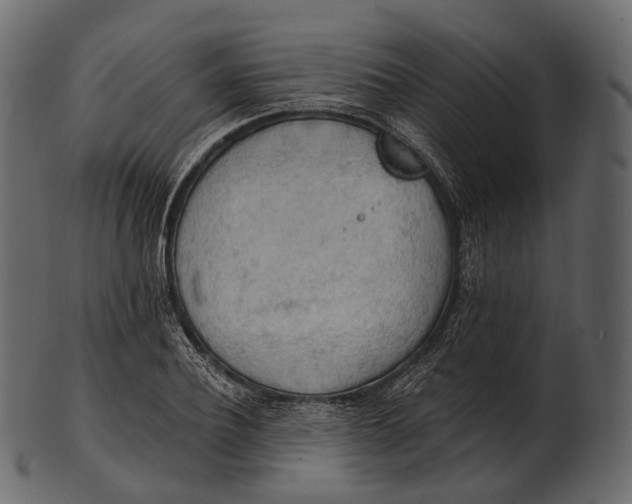 X0000100500932200807031937