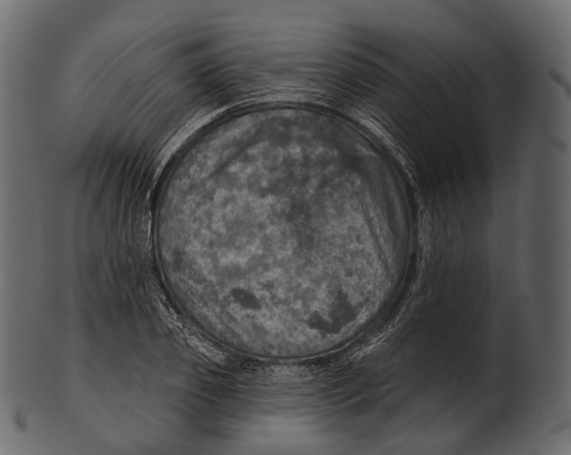 X0000100500933200807031937