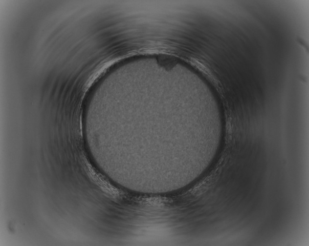 X0000100500934200807031937