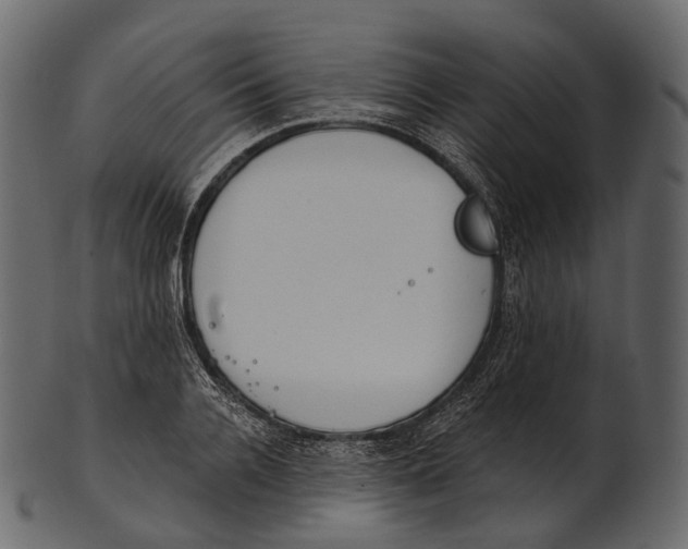 X0000100500936200807031937