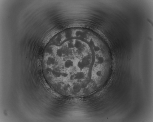 X0000100500937200807031937