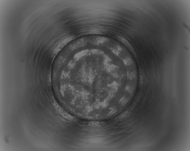 X0000100500938200807031937