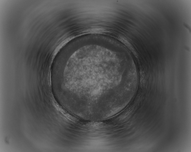 X0000100500939200807031937