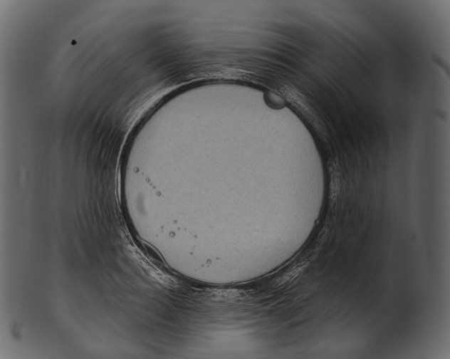 X0000100500940200807031937