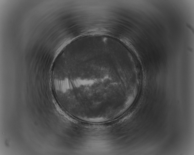 X0000100500941200807031937