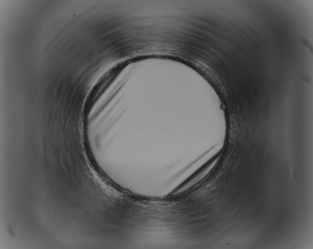 X0000100500942200807031937