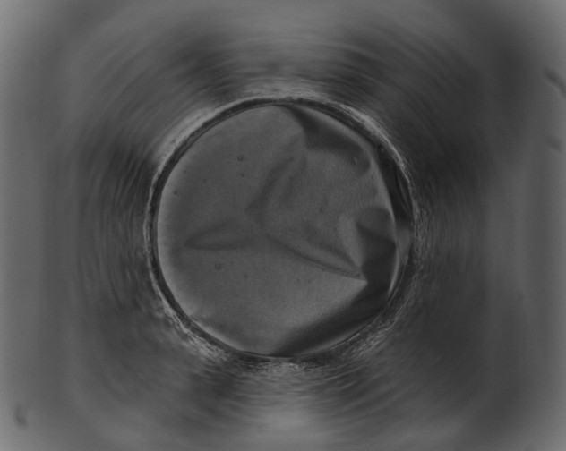 X0000100500943200807031937