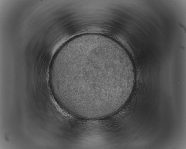 X0000100500944200807031937