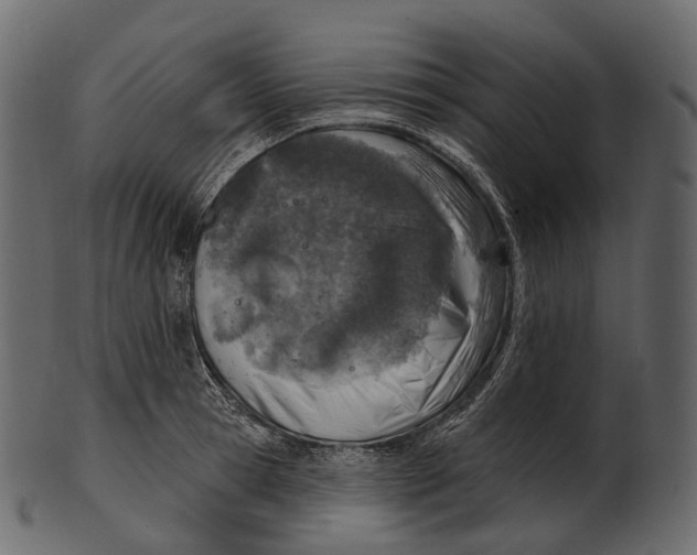 X0000100500945200807031937