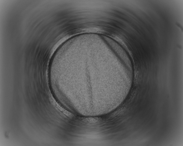 X0000100500947200807031937