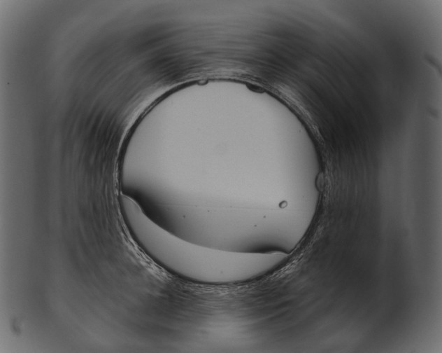 X0000100500948200807031937