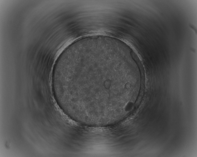 X0000100500949200807031937