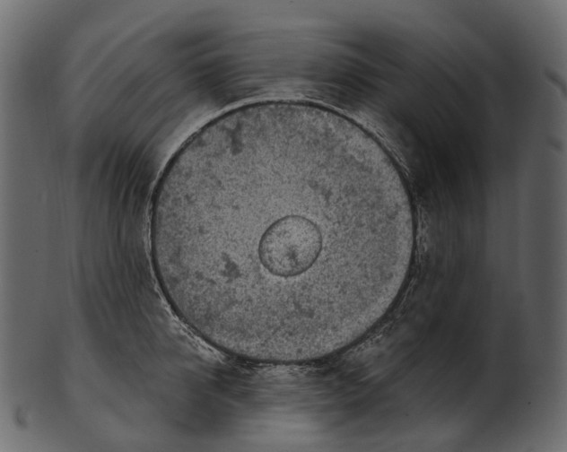 X0000100500950200807031937