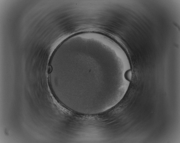 X0000100500951200807031937