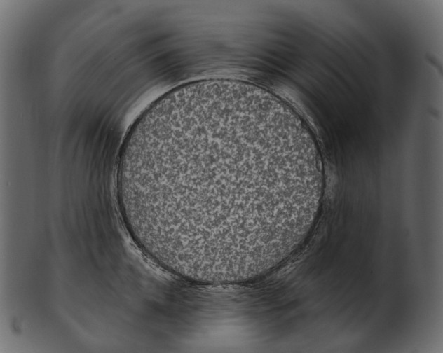 X0000100500952200807031937