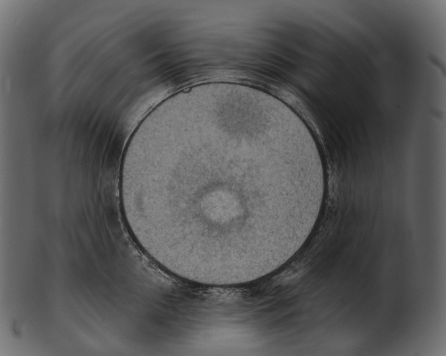 X0000100500954200807031937