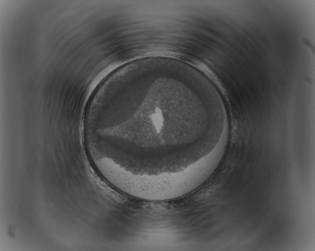 X0000100500955200807031937