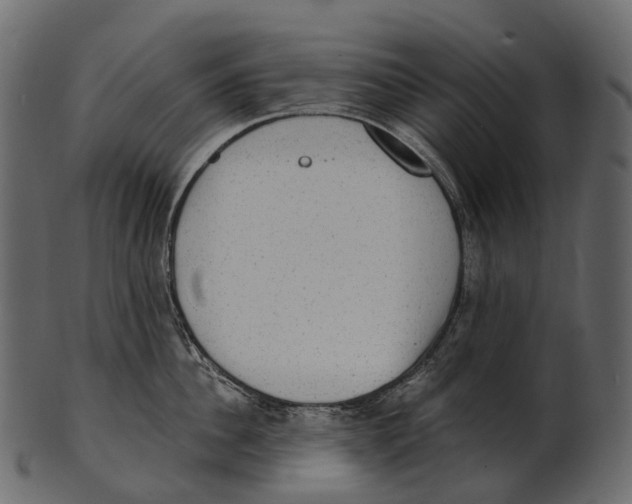 X0000100500956200807031937