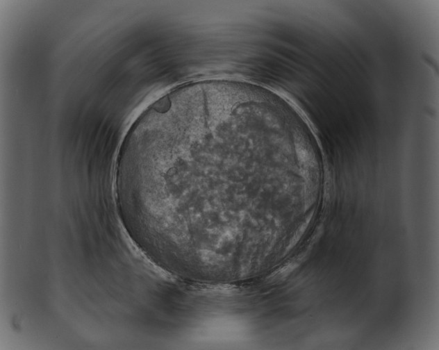 X0000100500957200807031937