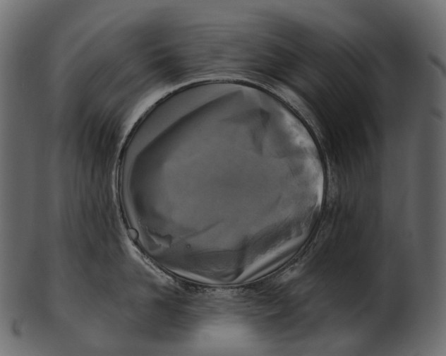 X0000100500958200807031937