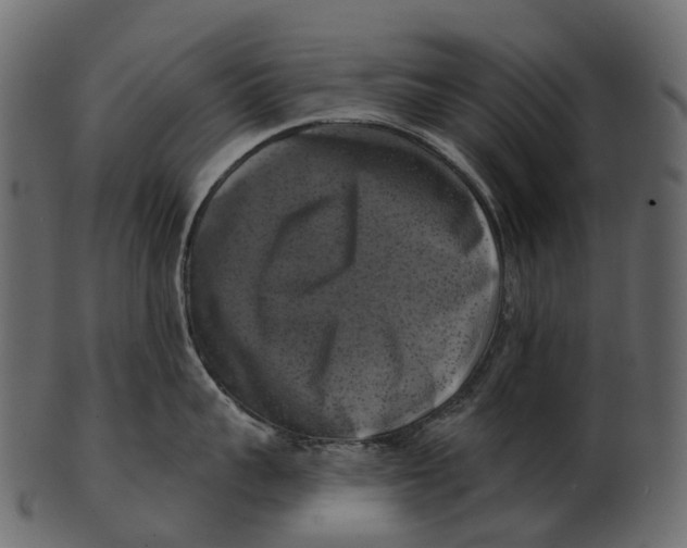 X0000100500959200807031937