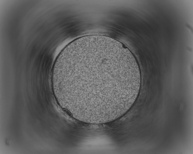 X0000100500960200807031937