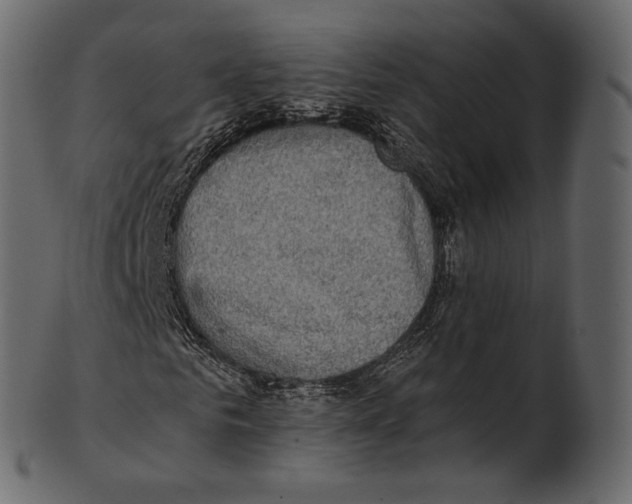 X0000100500961200807031937